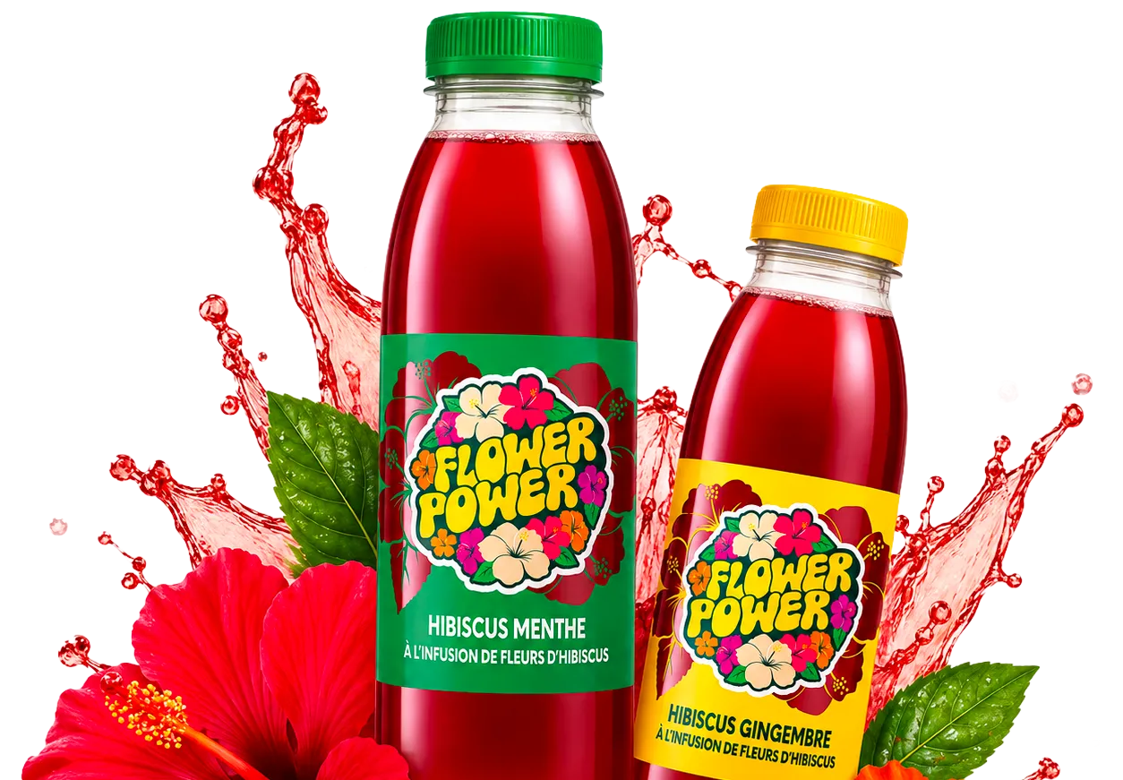 Bouteilles Flower Power Hibiscus Menthe et Hibiscus Gingembre