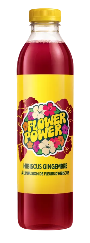 Bouteille Hibiscus Menthe 1 L PET