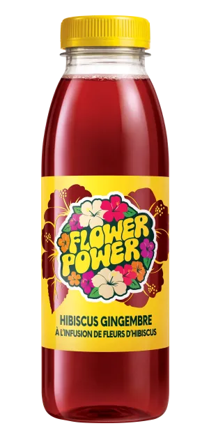 Bouteille Hibiscus Gingembre 50 cl PET