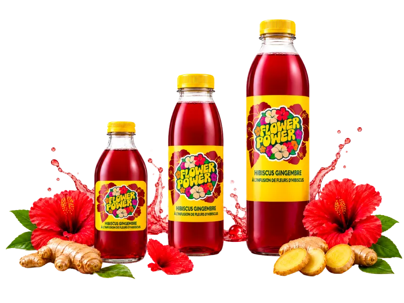 Bouteilles Hibiscus Gingembre