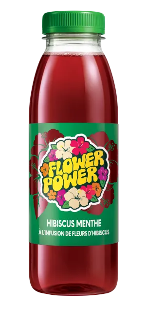 Bouteille Hibiscus Gingembre 50 cl PET