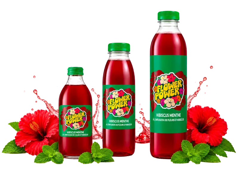 Bouteilles Hibiscus Menthe